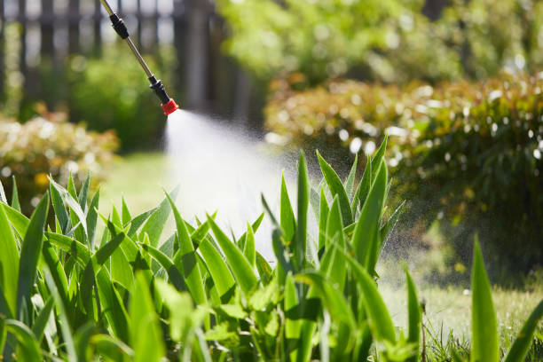 Tamper-Resistant Bait Stations for Rodents in Aurora
