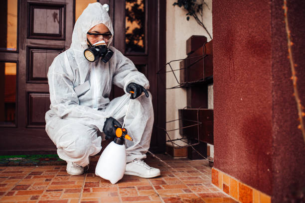 Attic and Crawl Space Rodent Treatment in Aurora